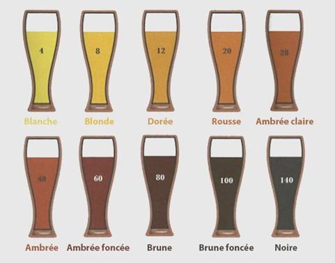 Quelle est la différence entre bière blonde et bière brune